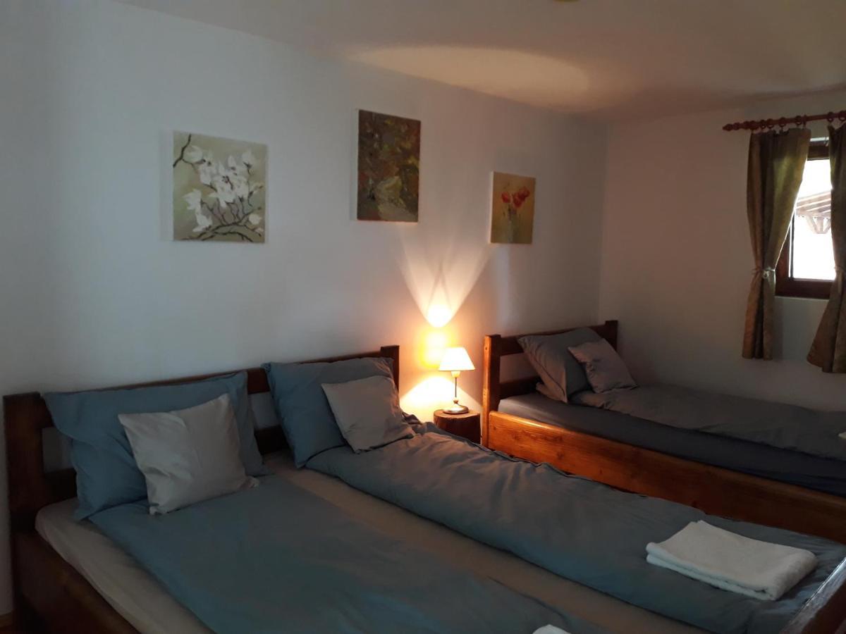 Casa De Peste Apa Pesteana Extérieur photo