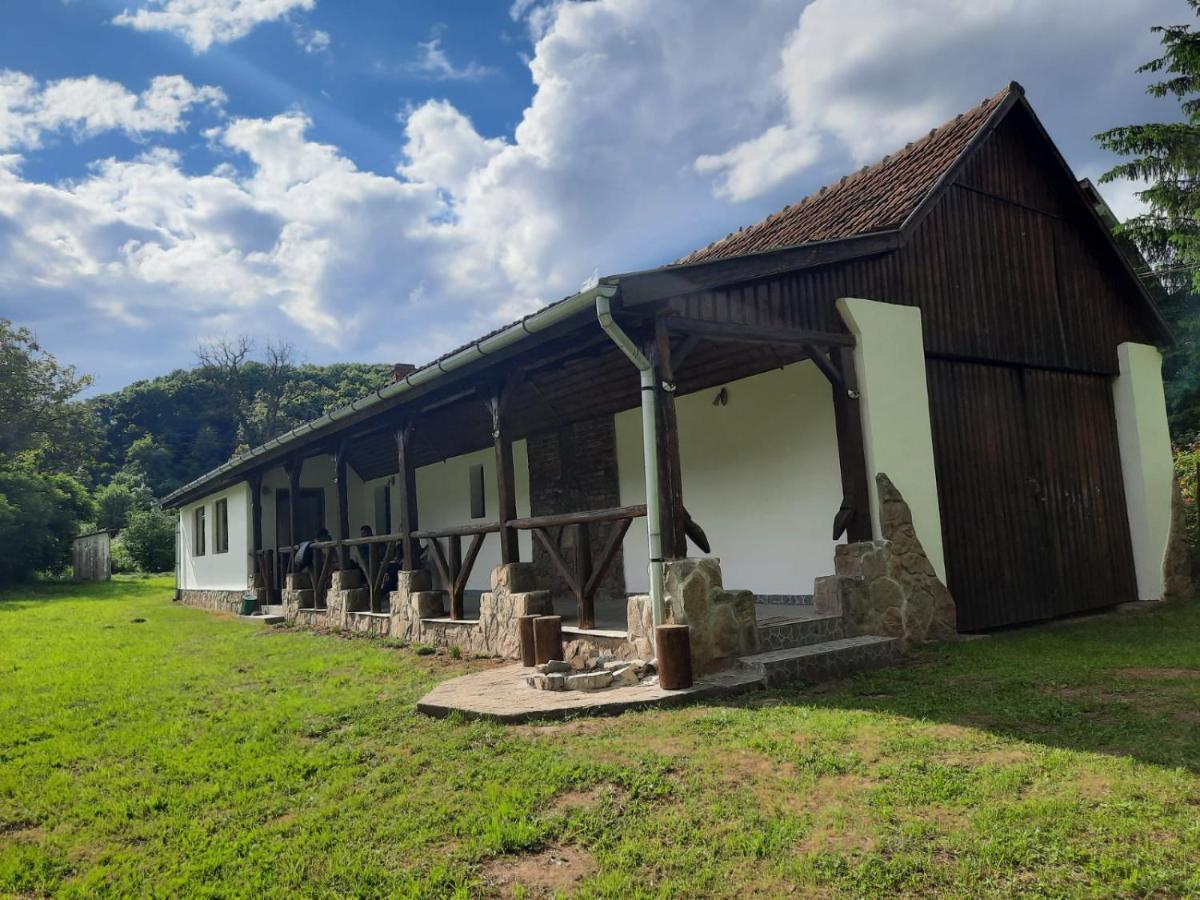 Casa De Peste Apa Pesteana Extérieur photo