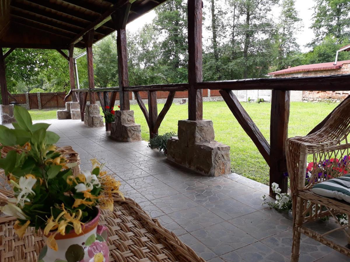 Casa De Peste Apa Pesteana Extérieur photo