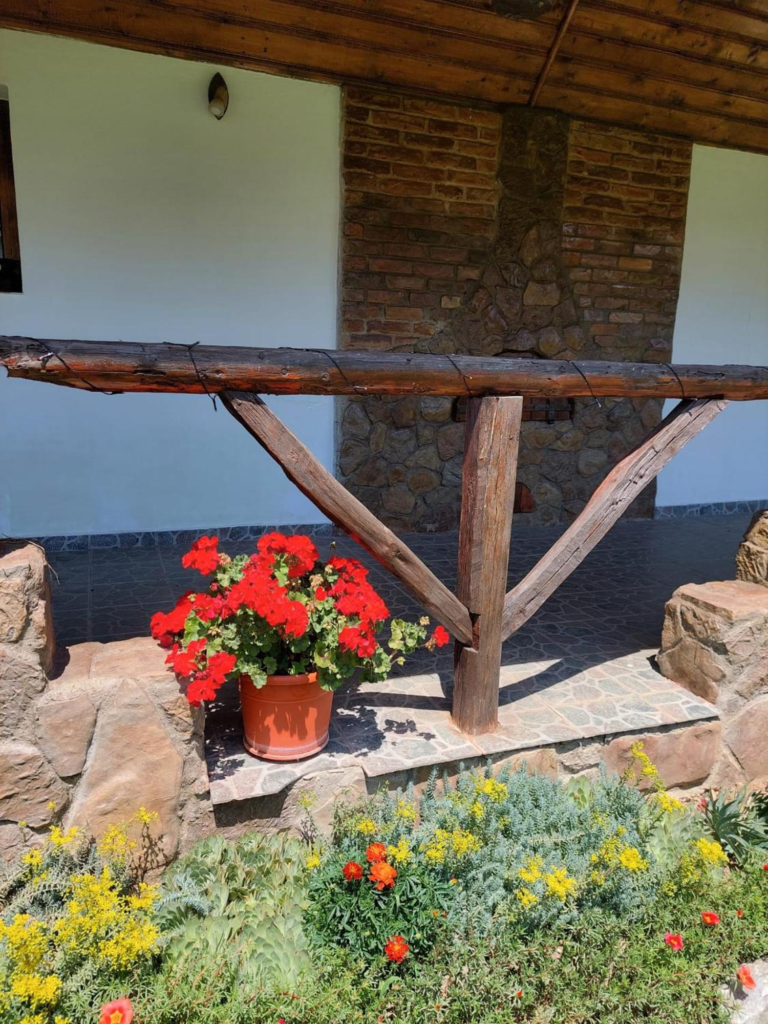 Casa De Peste Apa Pesteana Extérieur photo